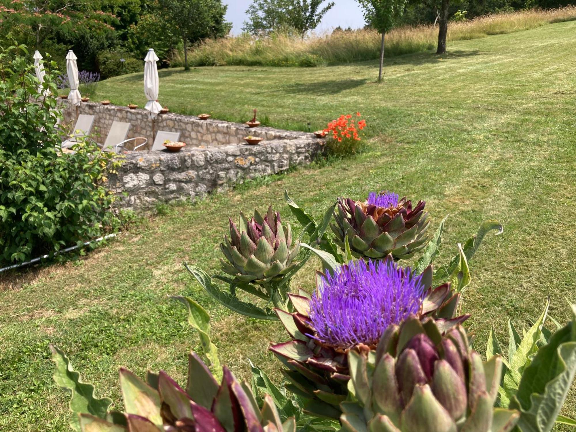 La Bastide Portoly B&B "Pruneaux" Penne-d'Agenais Экстерьер фото
